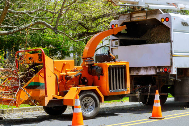  Carpentersvle, IL Tree Removal and Landscaping Services Pros